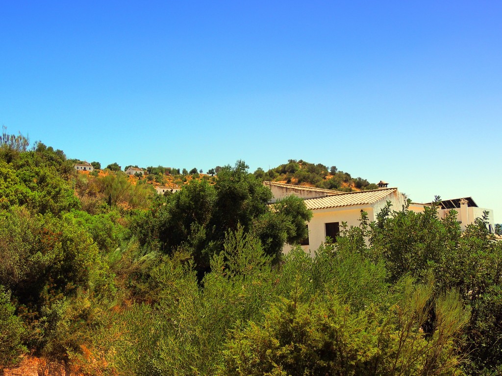 Foto de Algar (Cádiz), España