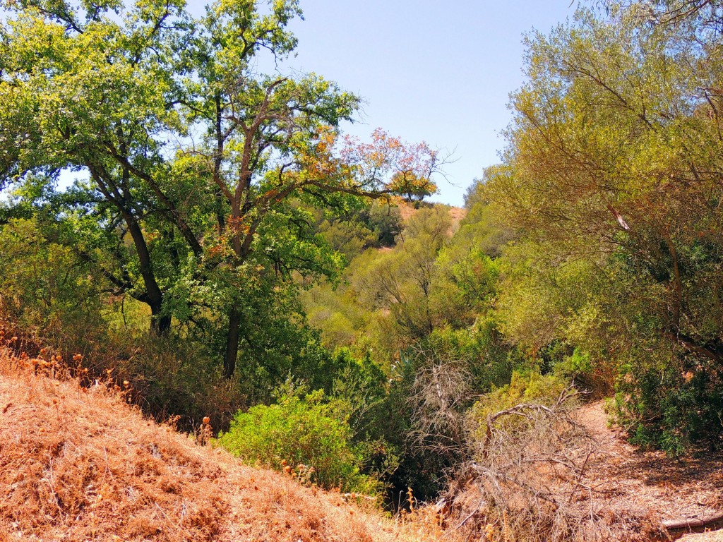 Foto de Algar (Cádiz), España