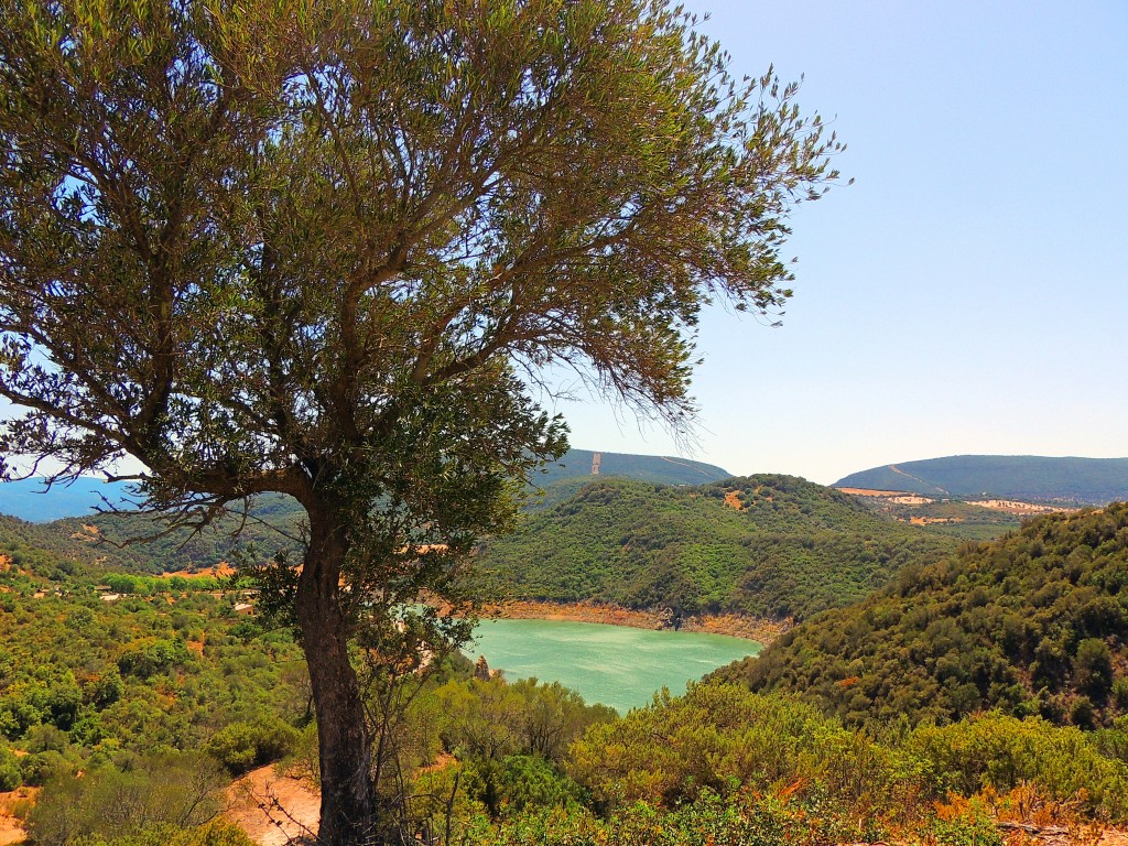 Foto de Algar (Cádiz), España