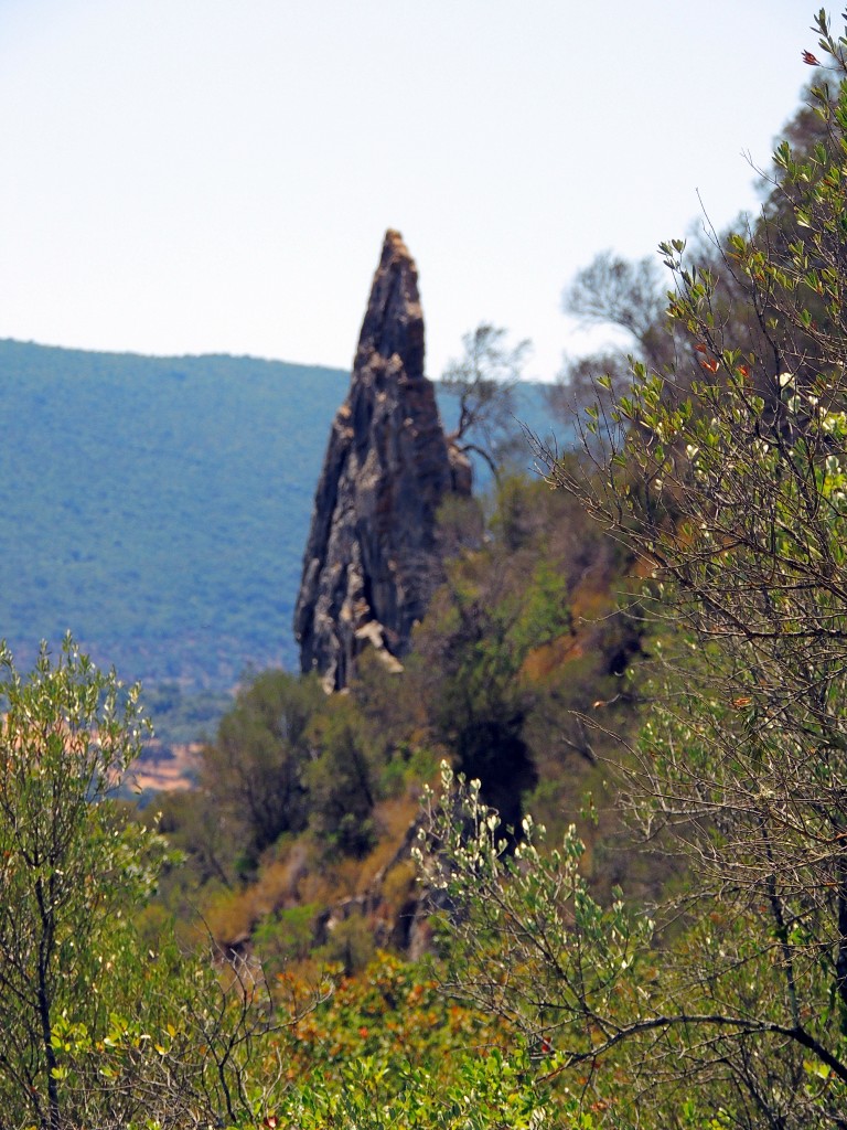 Foto de Algar (Cádiz), España