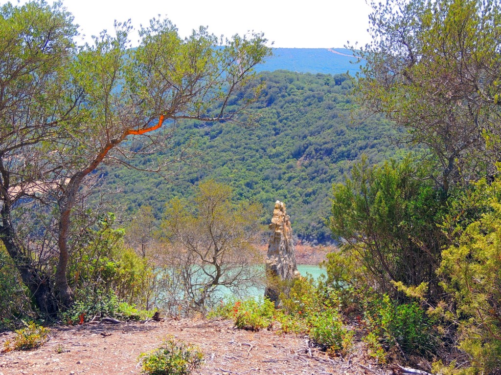 Foto de Algar (Cádiz), España