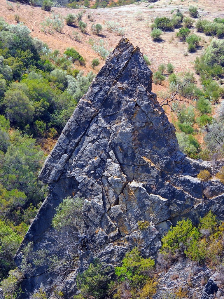 Foto de Algar (Cádiz), España