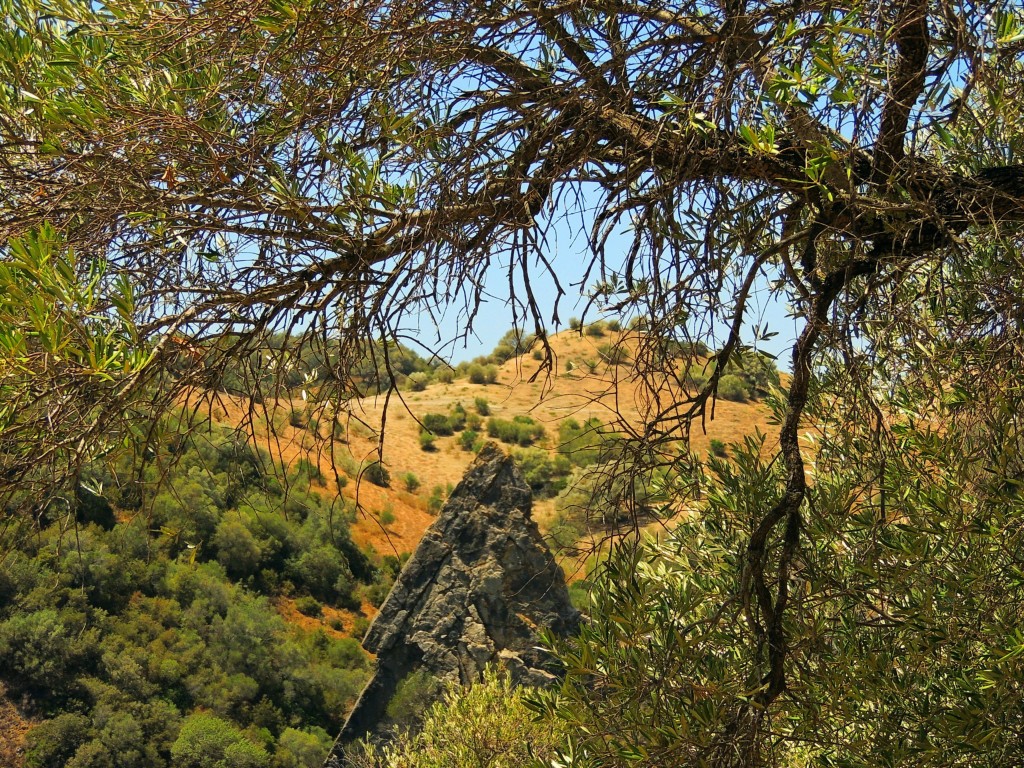 Foto de Algar (Cádiz), España