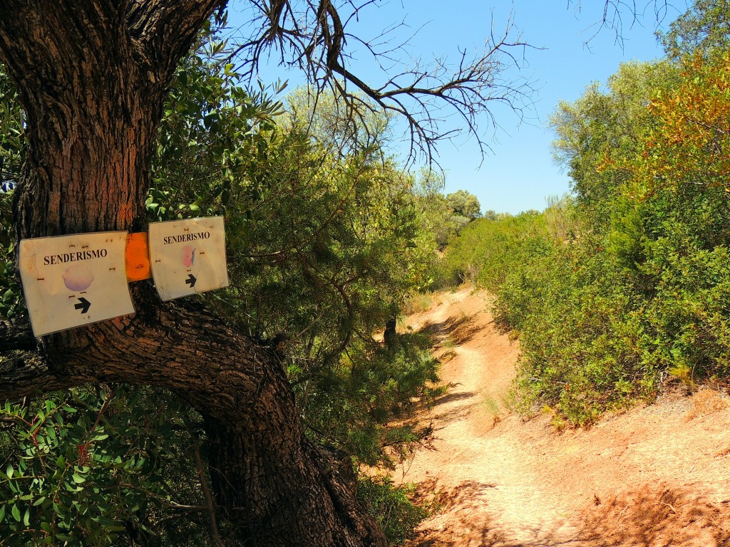 Foto de Algar (Cádiz), España