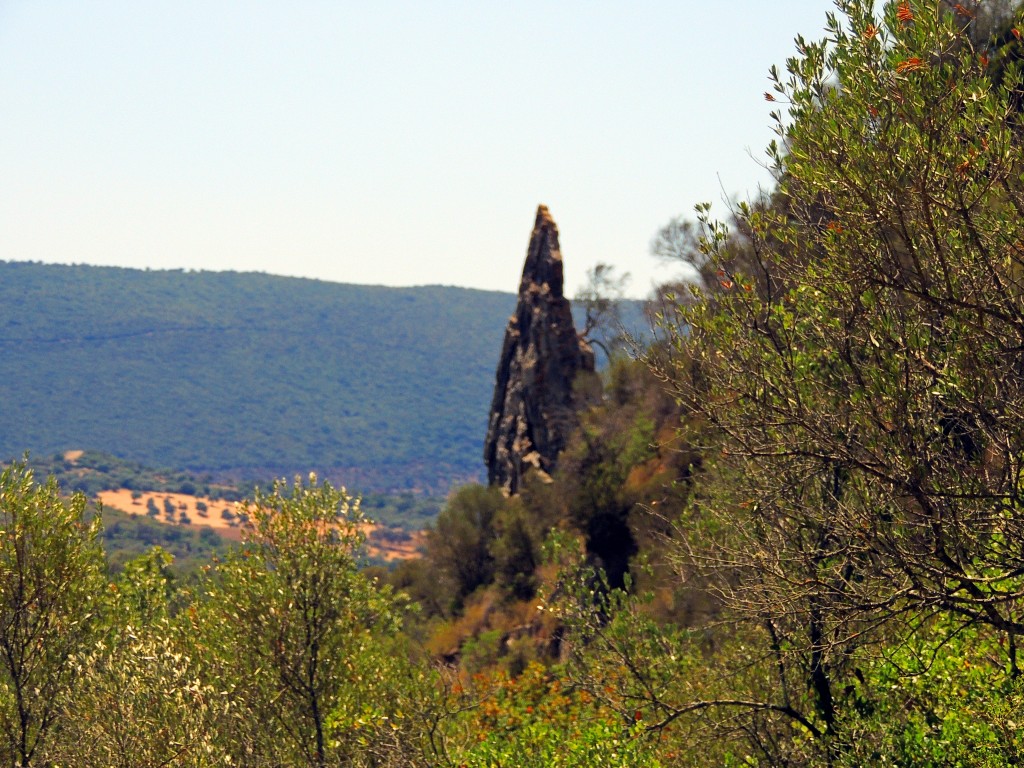 Foto de Algar (Cádiz), España