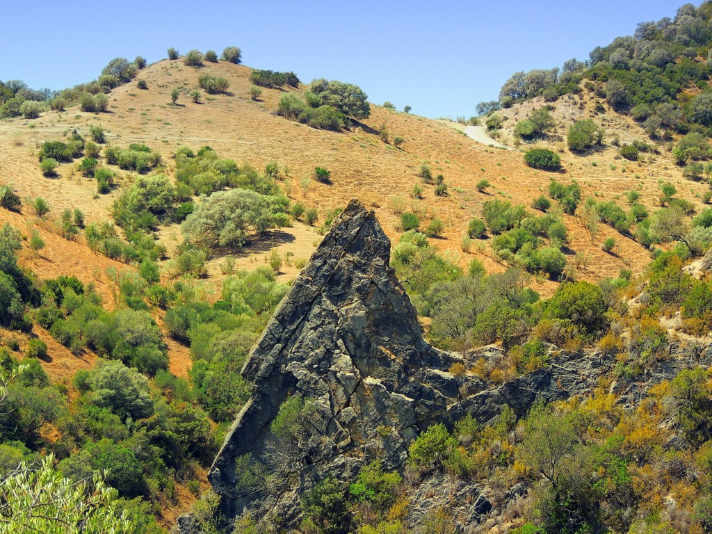 Foto de Algar (Cádiz), España