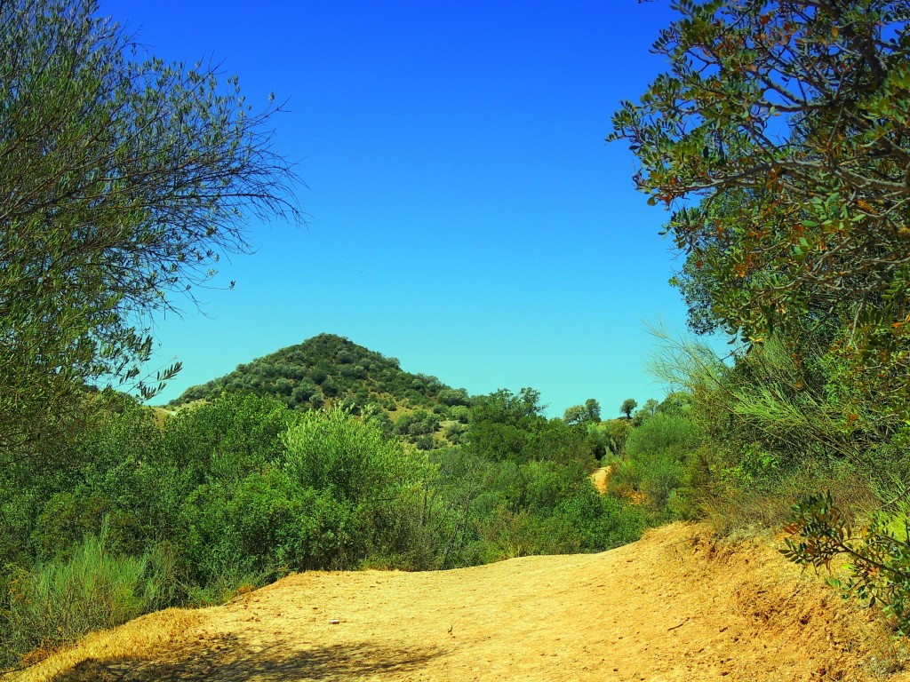 Foto de Algar (Cádiz), España