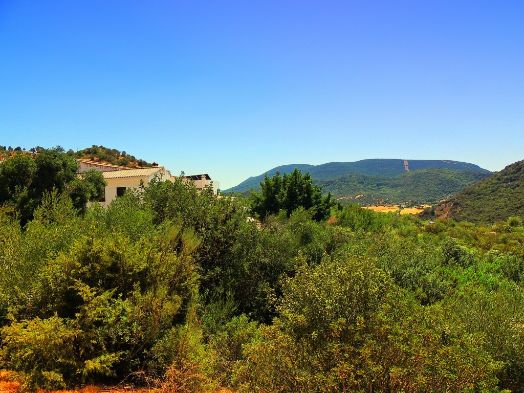 Foto de Algar (Cádiz), España