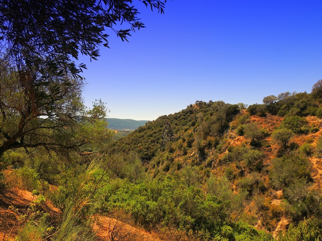 Foto de Algar (Cádiz), España