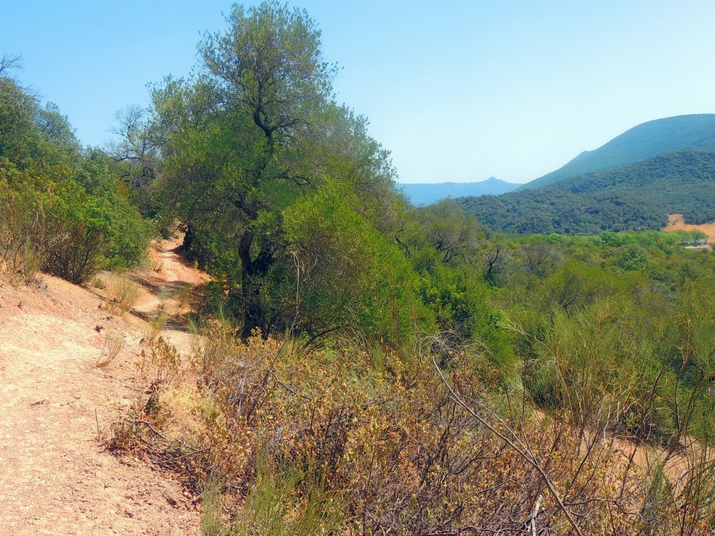 Foto de Algar (Cádiz), España