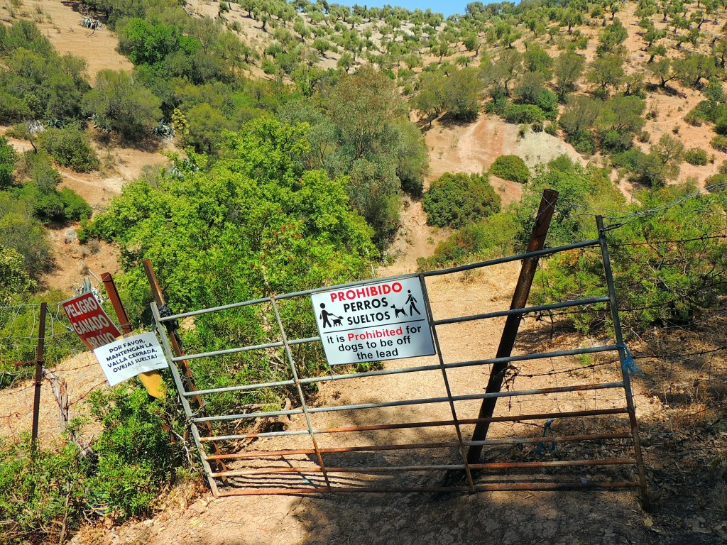 Foto de Algar (Cádiz), España