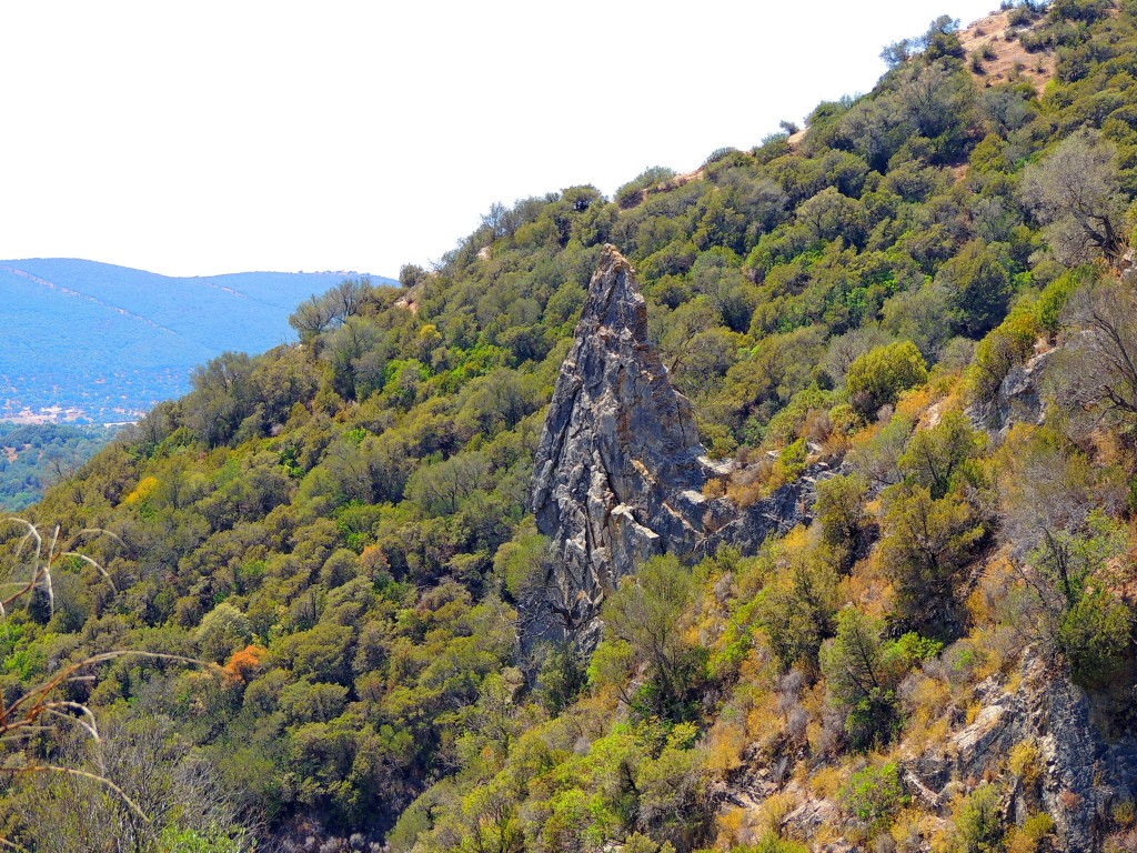 Foto de Algar (Cádiz), España