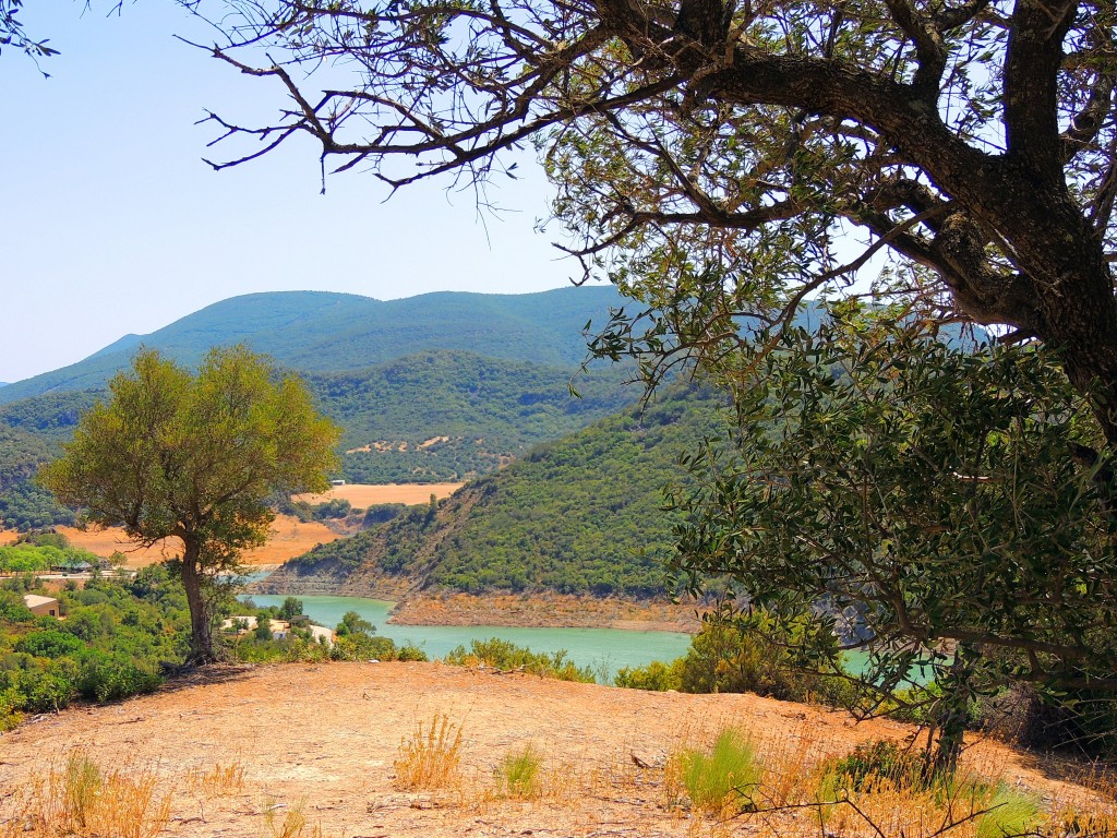 Foto de Algar (Cádiz), España