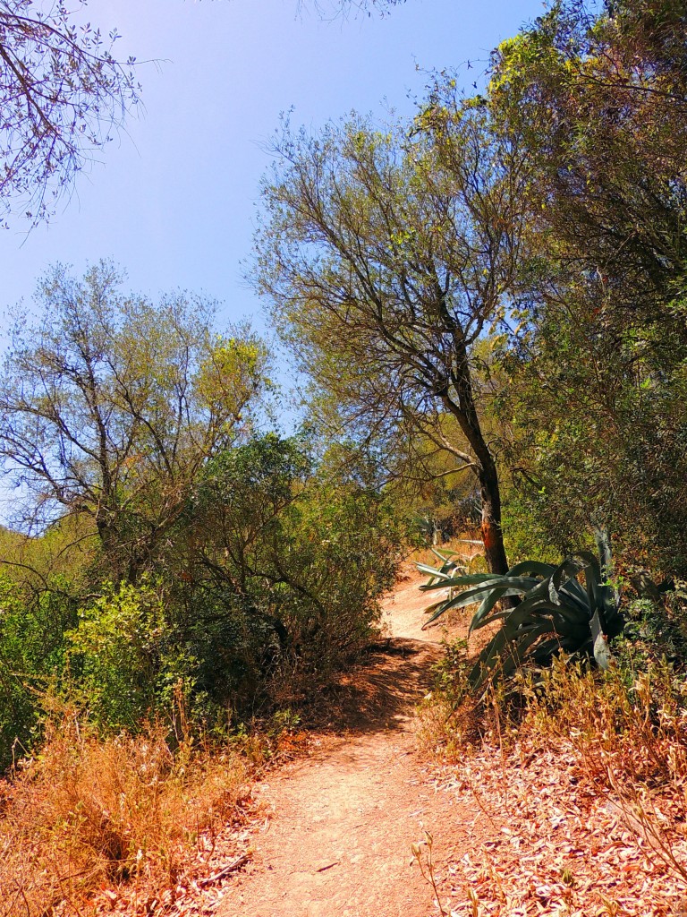 Foto de Algar (Cádiz), España