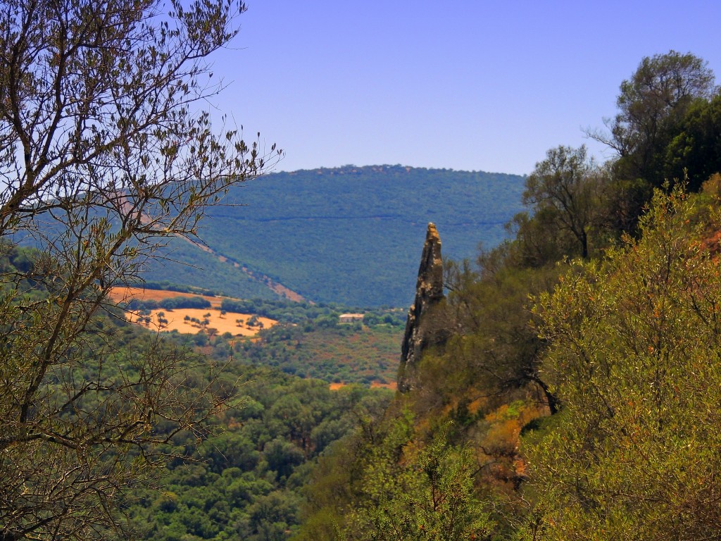 Foto de Algar (Cádiz), España