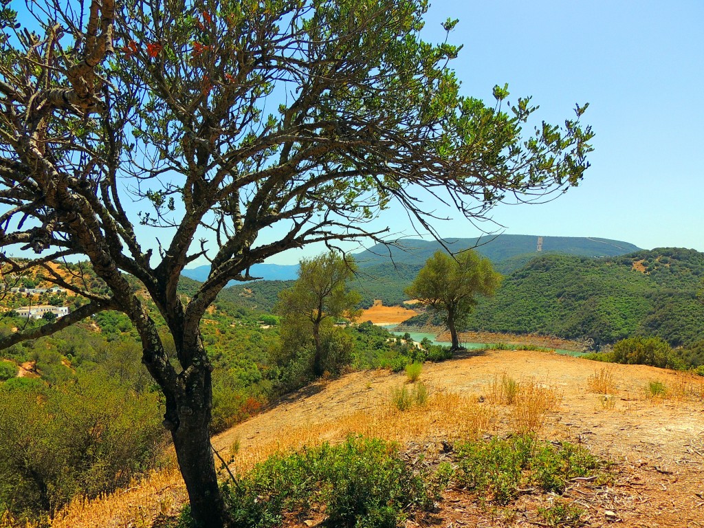 Foto de Algar (Cádiz), España