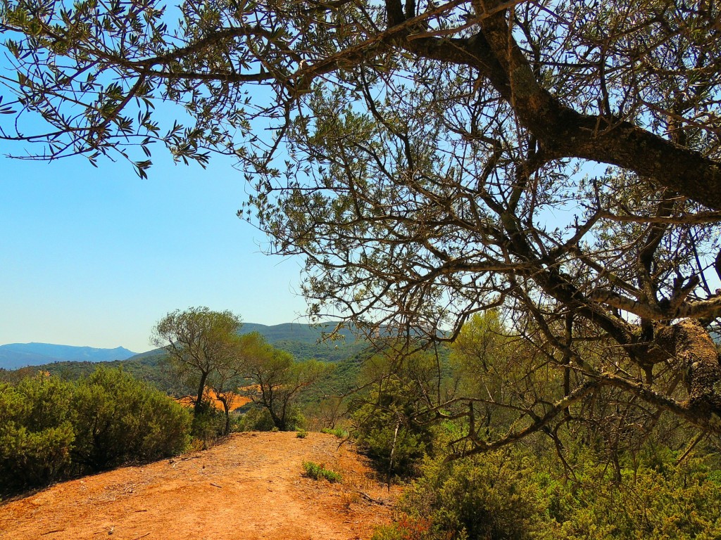 Foto de Algar (Cádiz), España