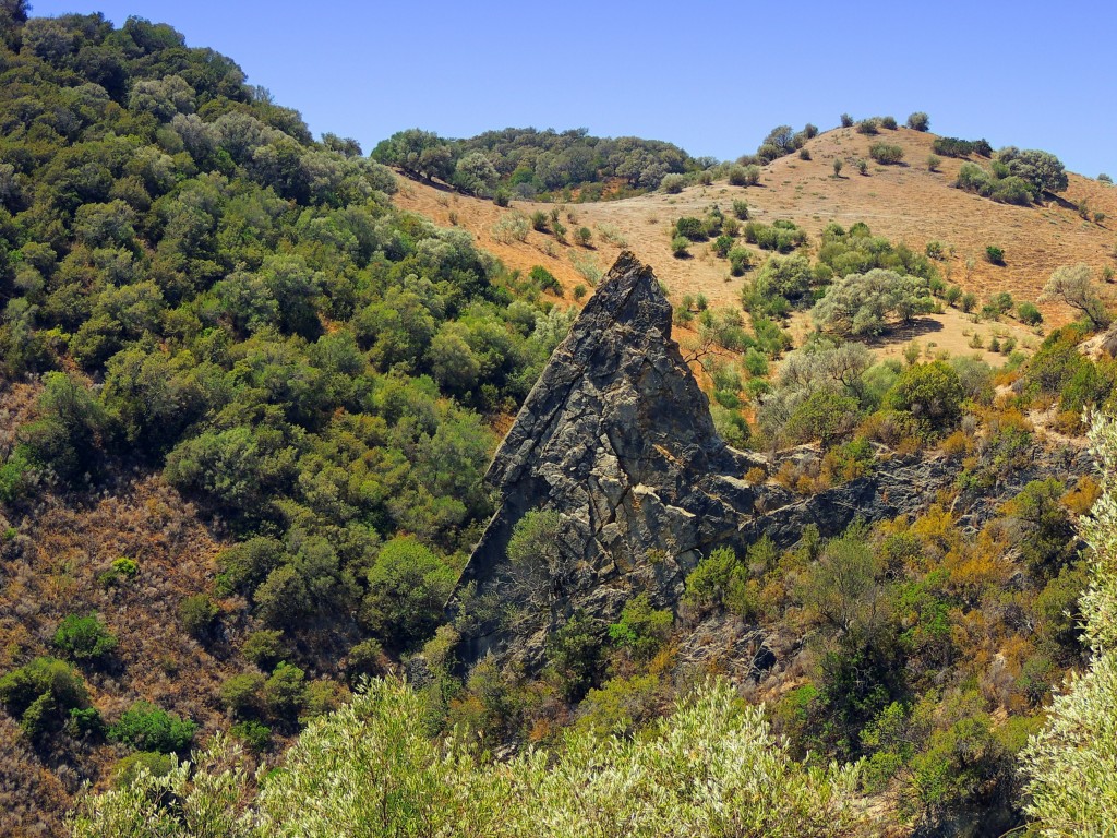 Foto de Algar (Cádiz), España