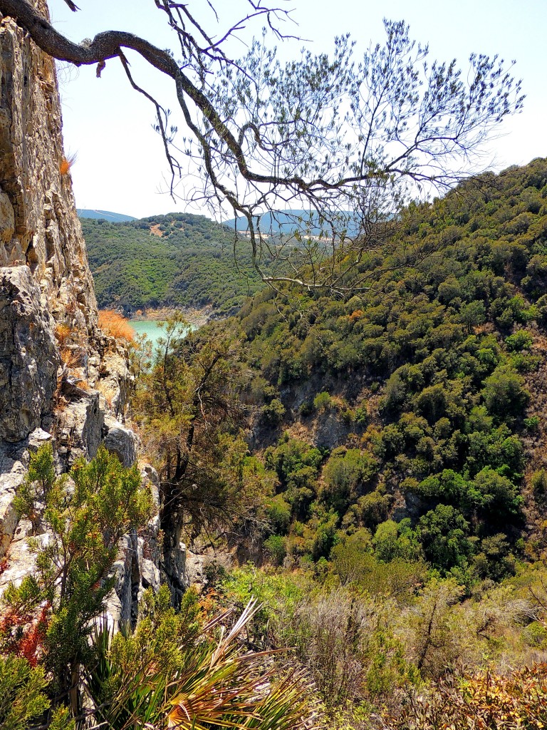 Foto de Algar (Cádiz), España