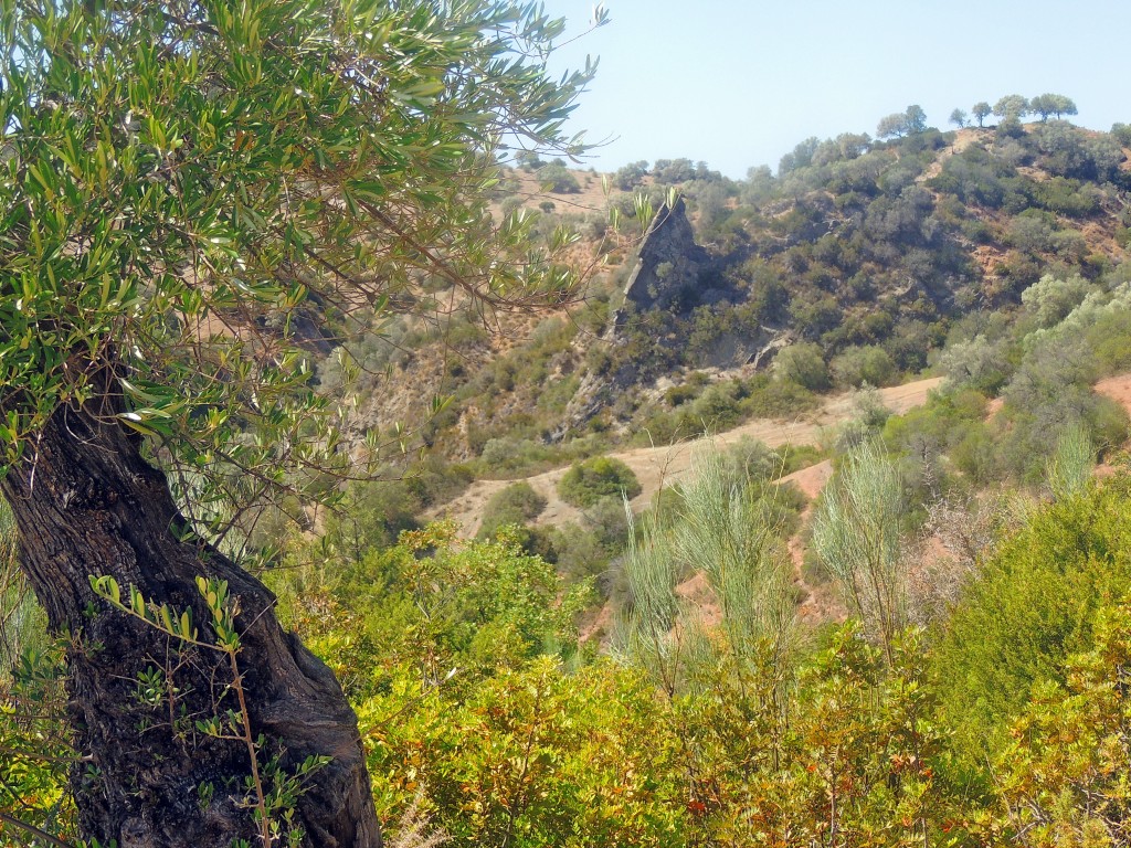 Foto de Algar (Cádiz), España