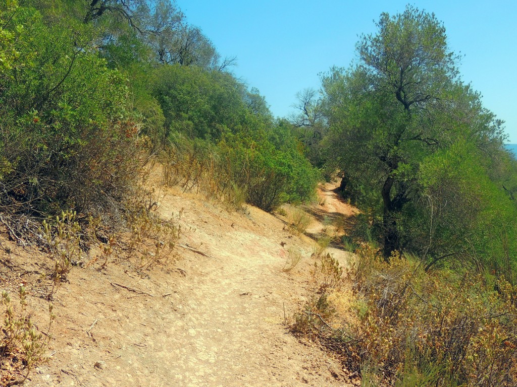 Foto de Algar (Cádiz), España