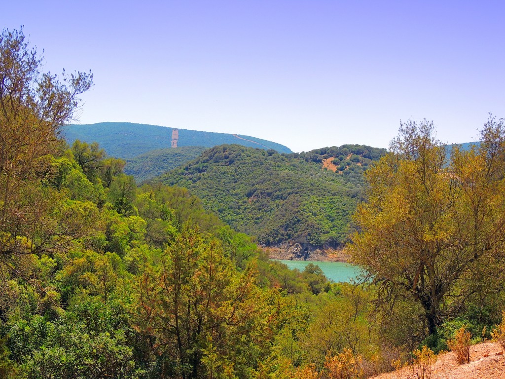 Foto de Algar (Cádiz), España