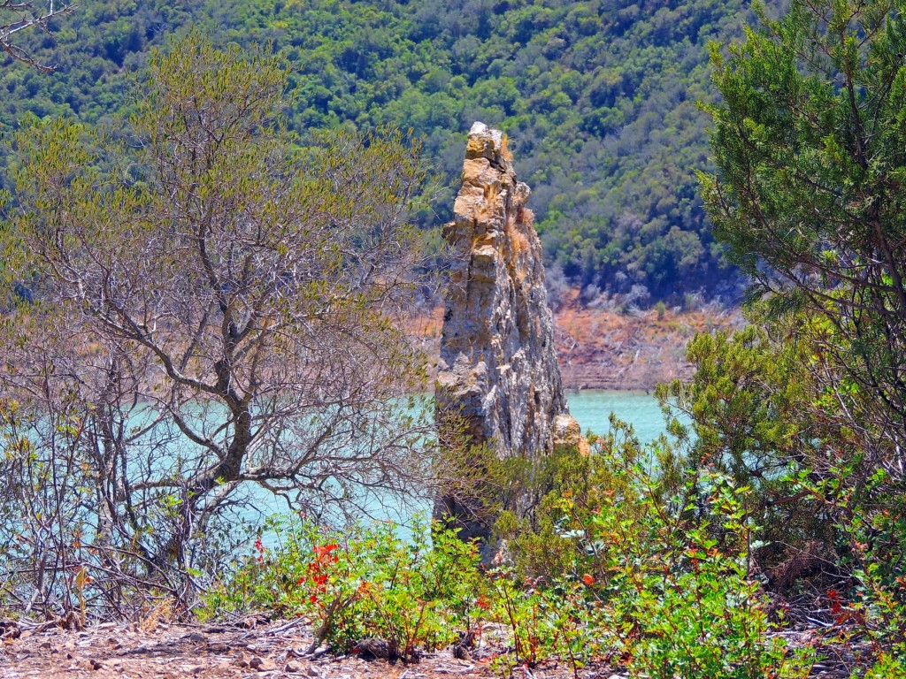 Foto de Algar (Cádiz), España