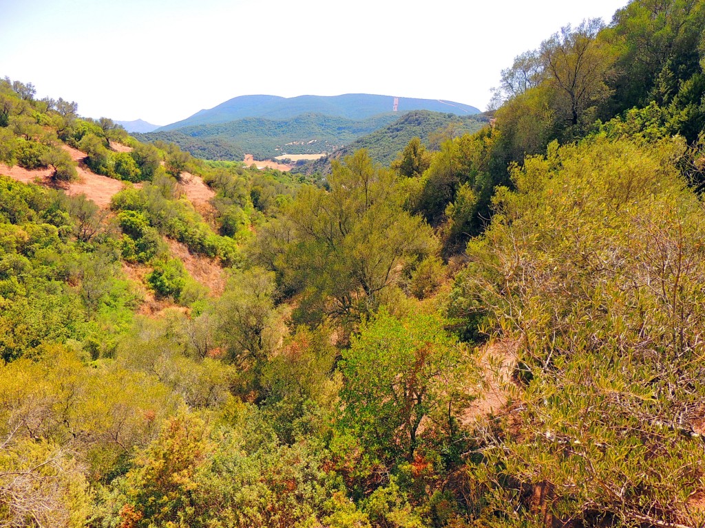 Foto de Algar (Cádiz), España