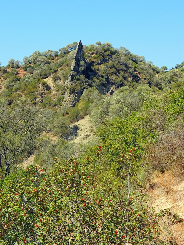 Foto de Algar (Cádiz), España