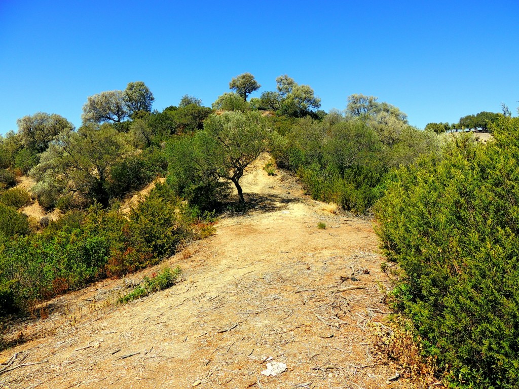 Foto de Algar (Cádiz), España