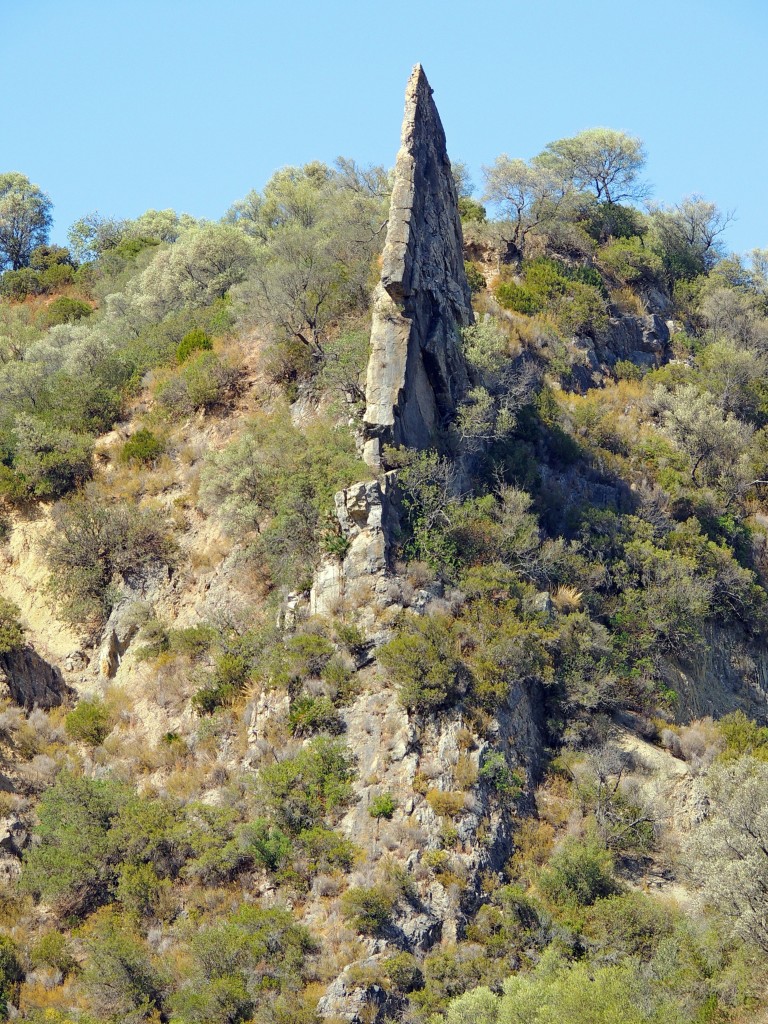 Foto de Algar (Cádiz), España