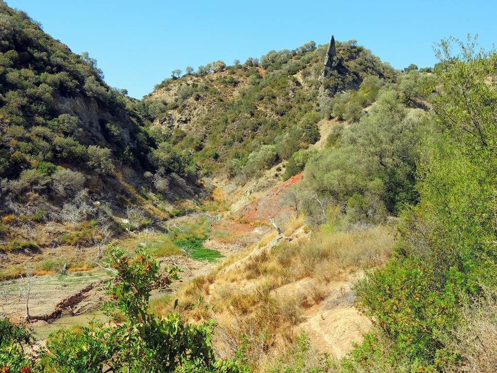 Foto de Algar (Cádiz), España