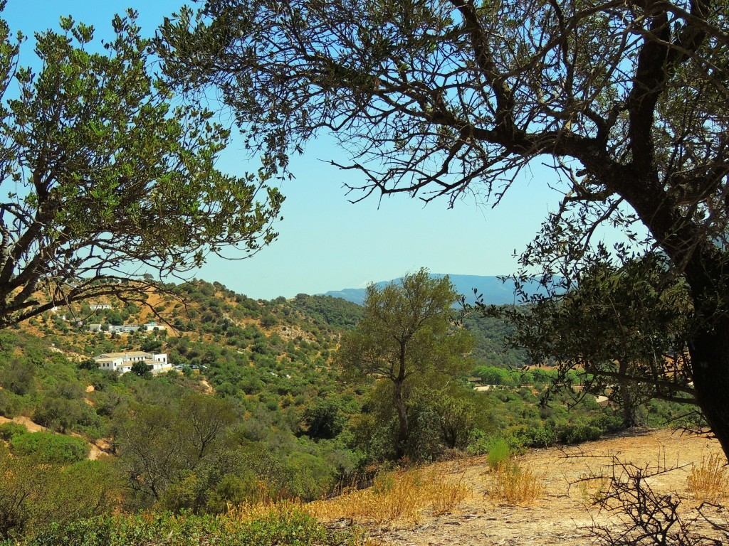 Foto de Algar (Cádiz), España