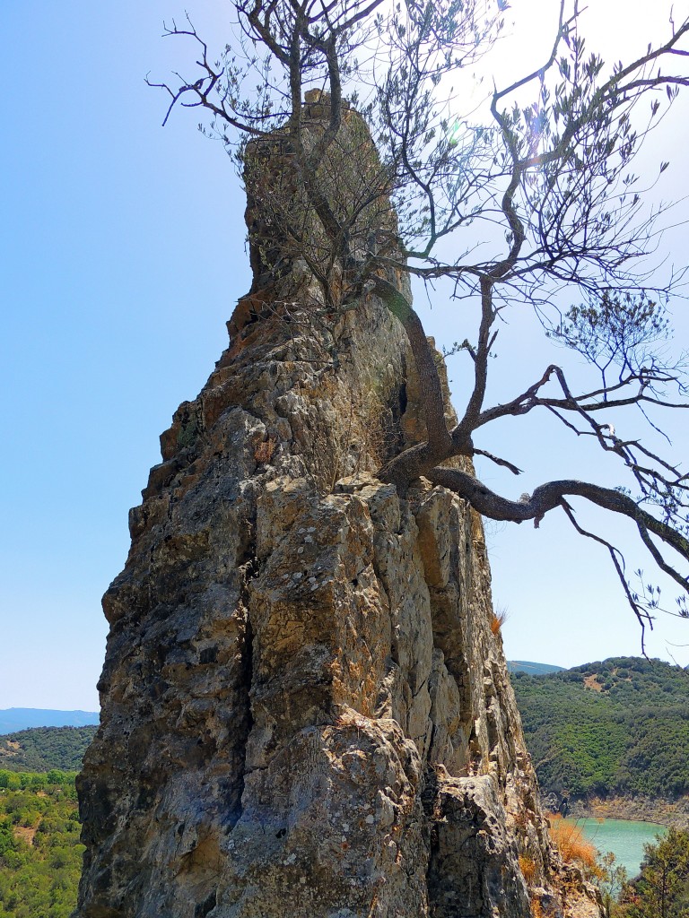 Foto de Algar (Cádiz), España