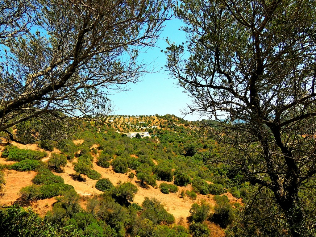 Foto de Algar (Cádiz), España