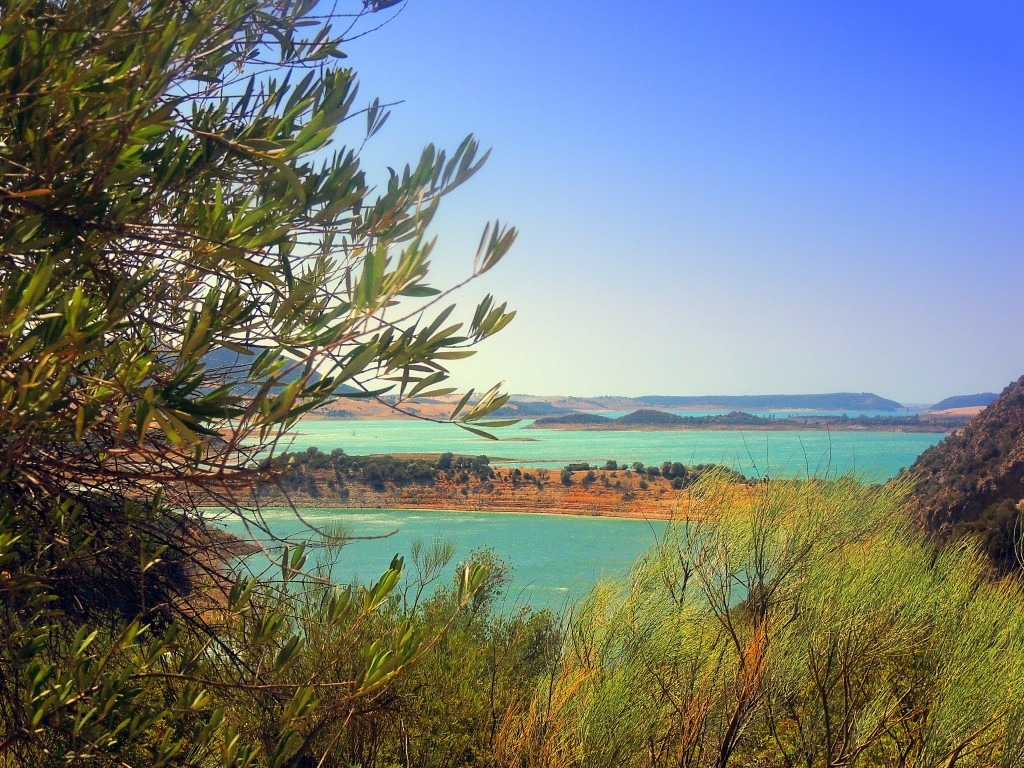 Foto de Algar (Cádiz), España