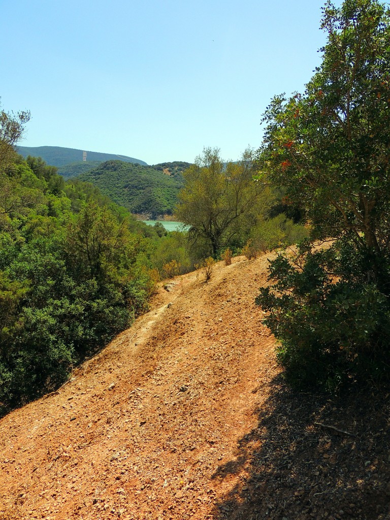 Foto de Algar (Cádiz), España