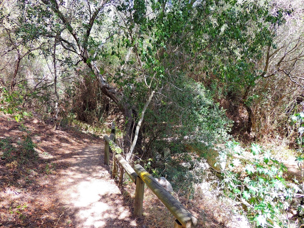 Foto de Algar (Cádiz), España