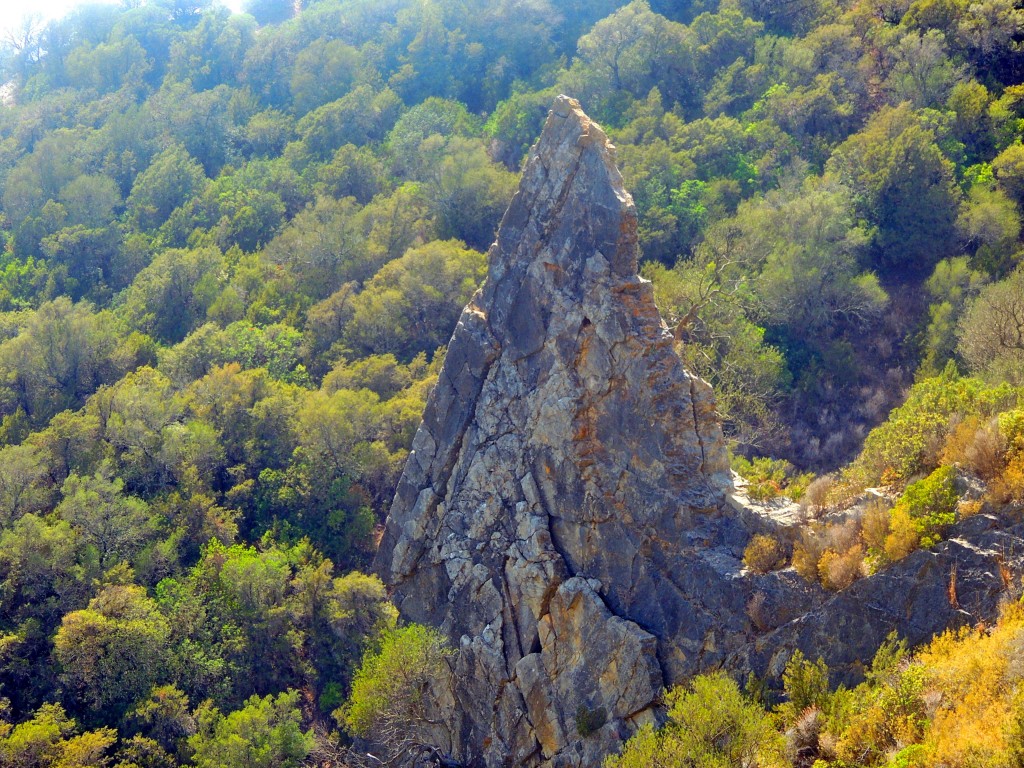 Foto de Algar (Cádiz), España