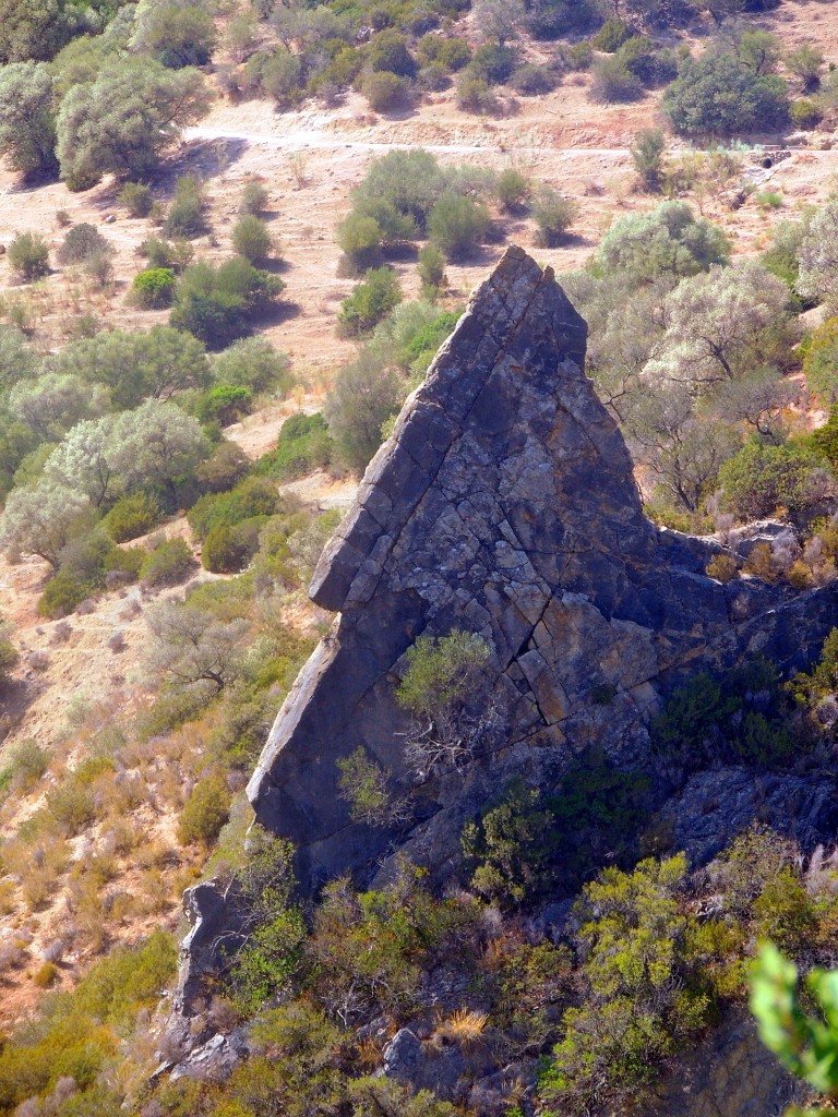 Foto de Algar (Cádiz), España