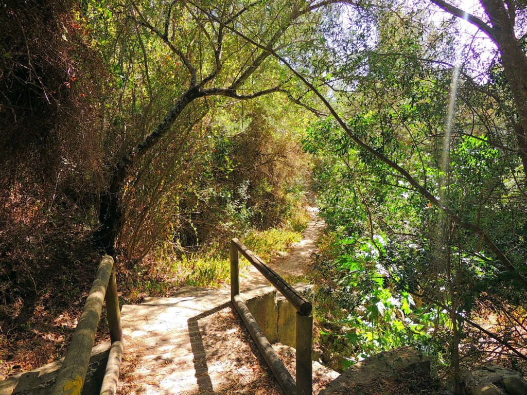 Foto de Algar (Cádiz), España