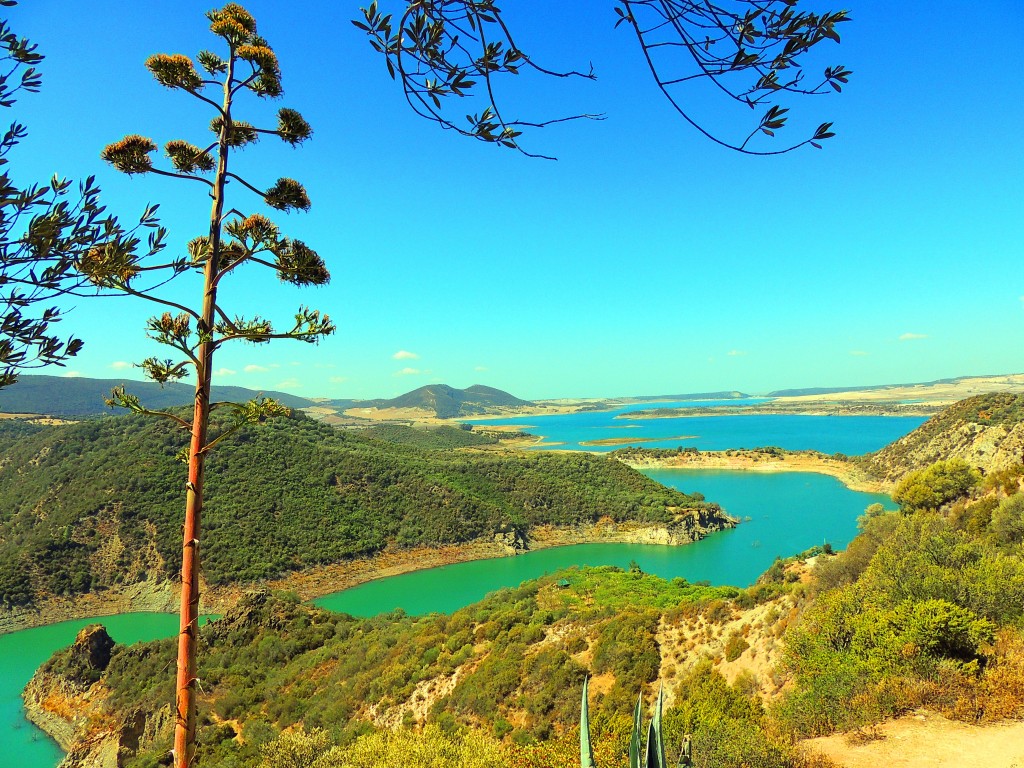 Foto de Algar (Cádiz), España