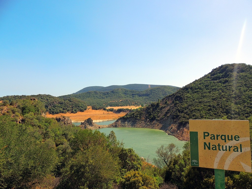 Foto de Algar (Cádiz), España