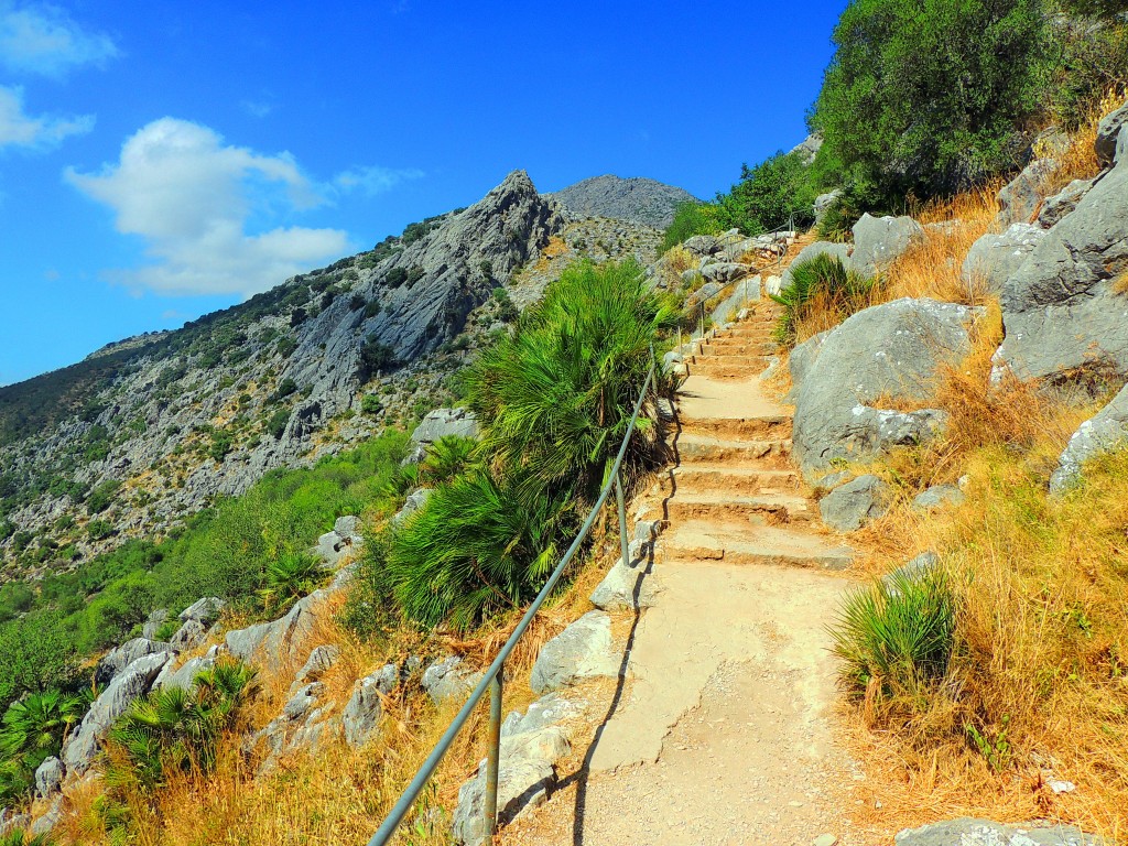 Foto de Cueva de la Pileta (Málaga), España