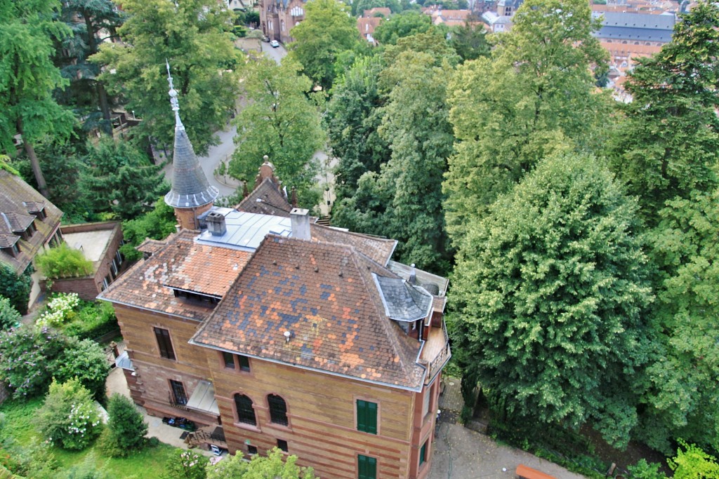 Foto: Vistas desde el castillo - Heidelberg (Baden-Württemberg), Alemania