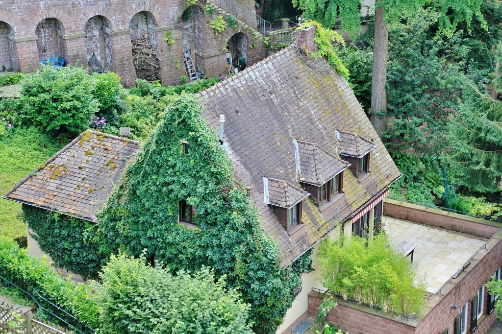 Foto: Vistas desde el castillo - Heidelberg (Baden-Württemberg), Alemania