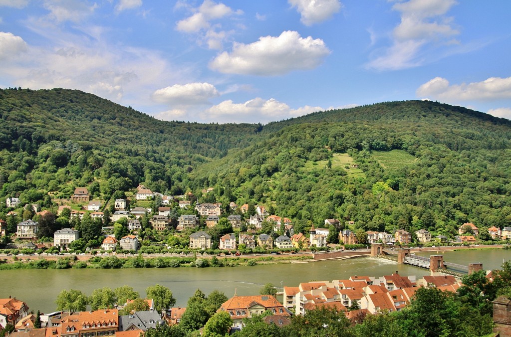 Foto: Vistas desde el castillo - Heidelberg (Baden-Württemberg), Alemania