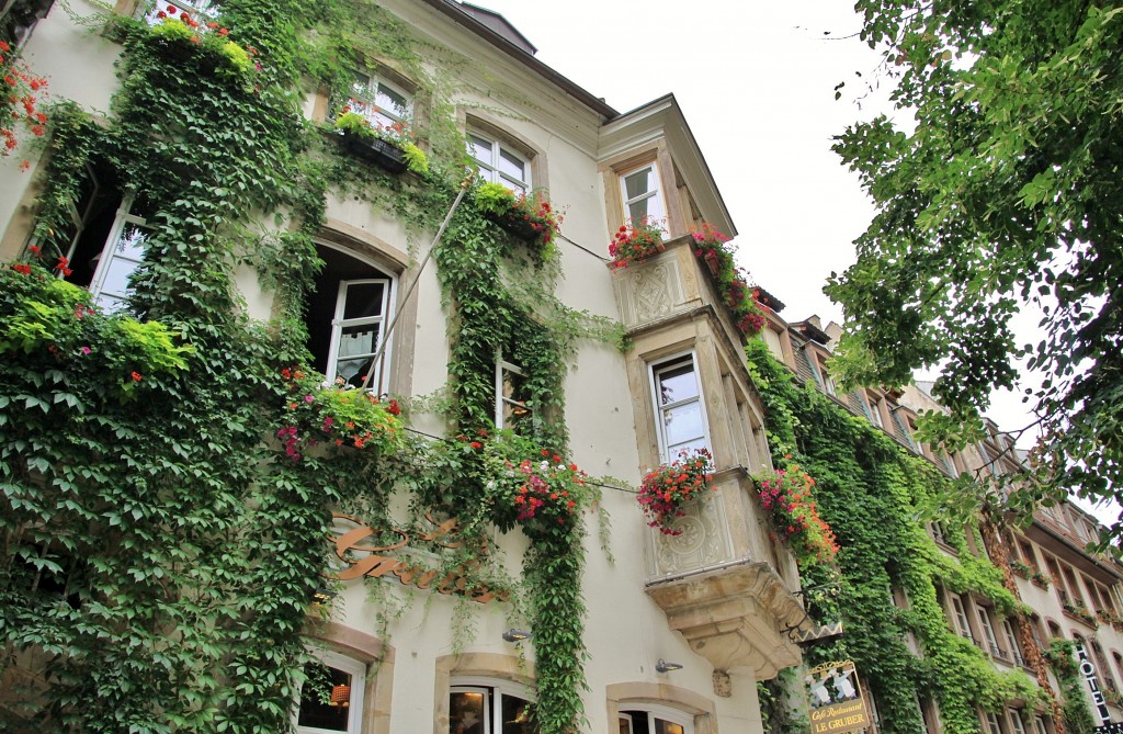 Foto: Centro histórico - Estrasburgo (Alsace), Francia