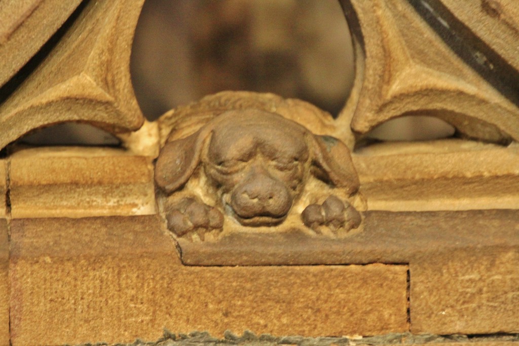 Foto: Catedral - Estrasburgo (Alsace), Francia