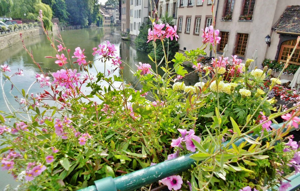 Foto: Centro histórico - Estrasburgo (Alsace), Francia